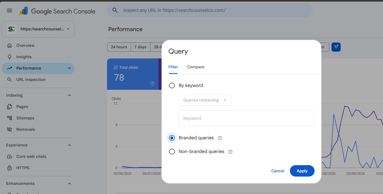 Google Search Console branded and non-branded query filter showing clicks, impressions, CTR, and average position